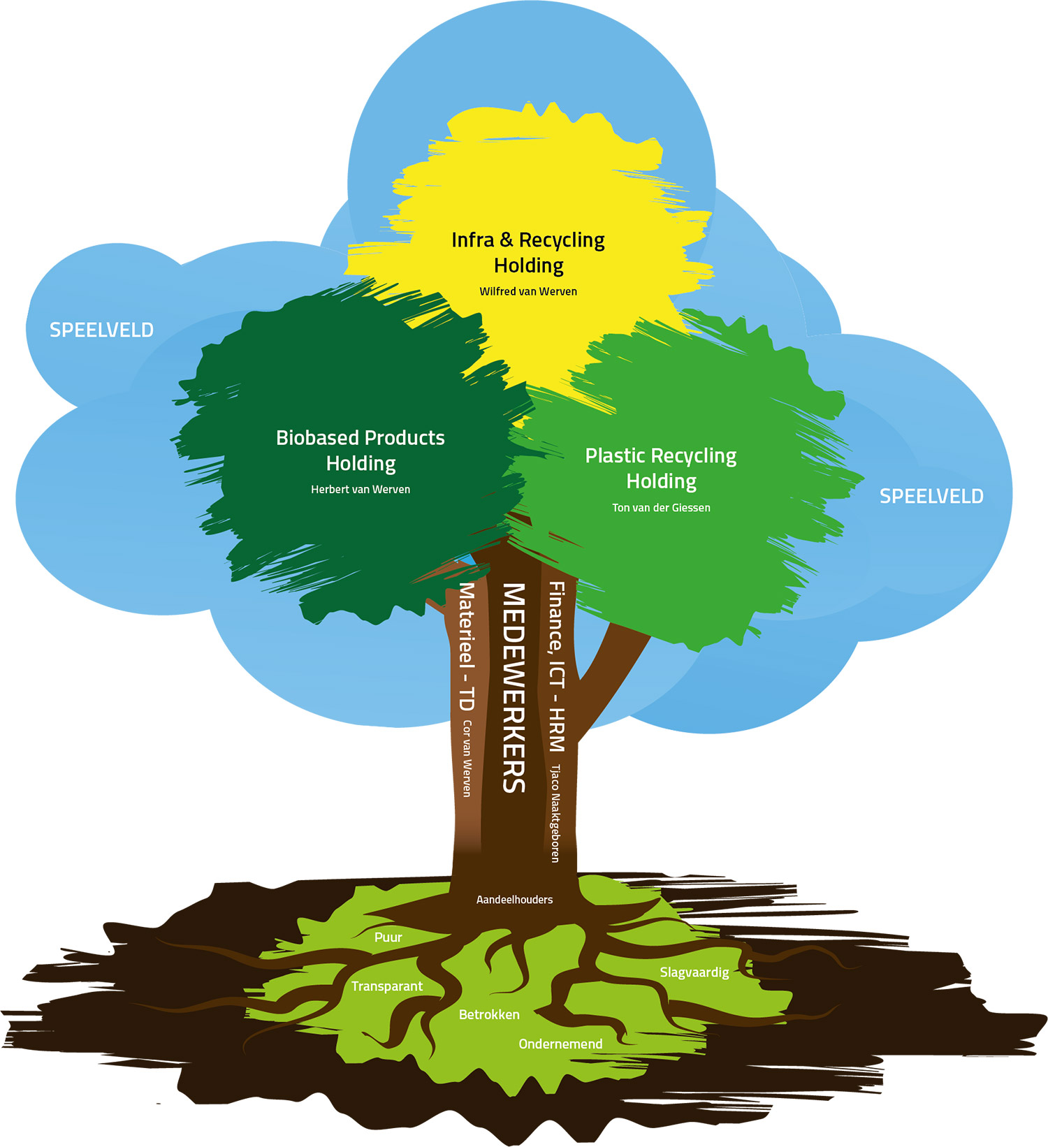 Organogram Boom